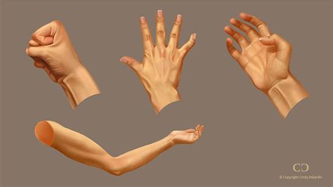 Hand Study - CG Cookie