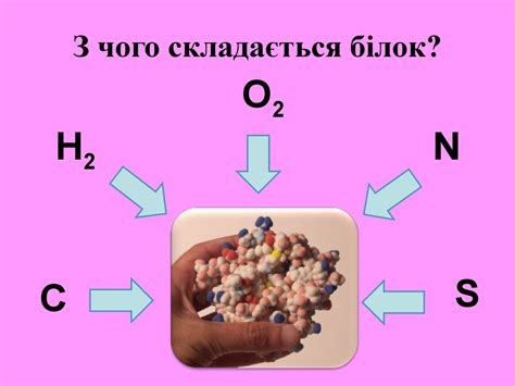 Білки. Будова білка - презентация онлайн