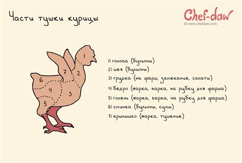 Части тушки курицы: chefdaw — LiveJournal