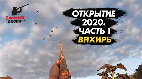 Охота на вяхиря/ Сезон охоты 2020 - YouTube
