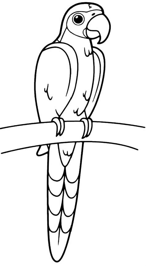 Papagaio Para Imprimir - 30+ Desenhos de Papagaio para colorir - Pop Lembrancinhas
