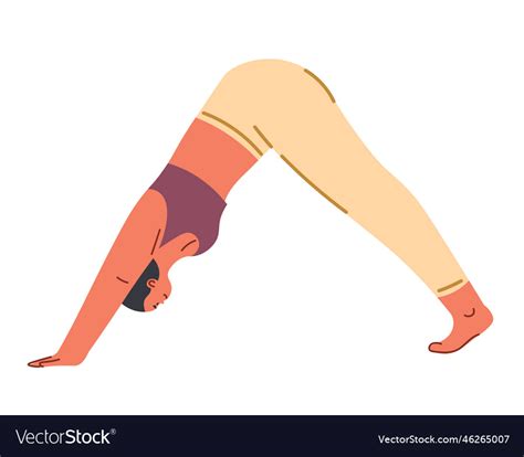 adho mukha svanasana  downward facing dog pose vector image