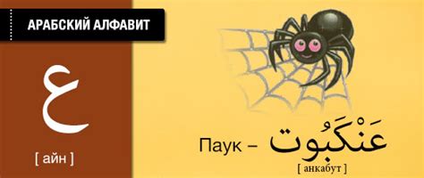 Карточки по арабскому языку