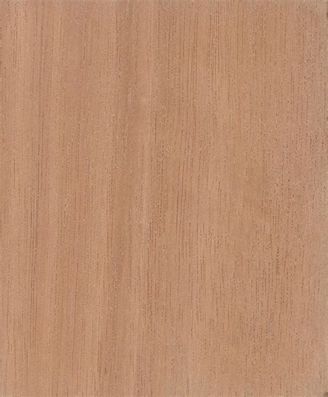 Grandis - timberonline|order your timber