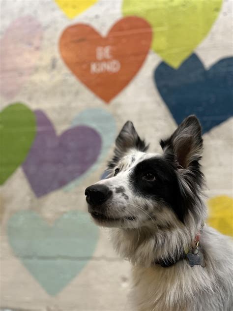 75 best u/captinpeenut images on Pholder | Showerbeer, Aww and U