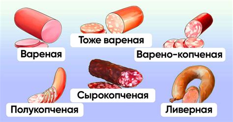 Виды колбас: в чём их отличия и особенности - Со Вкусом