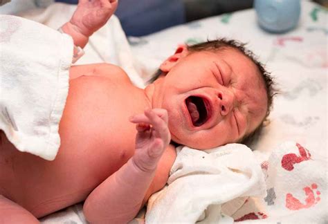 Birth and Labour - revisionug.com