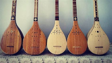 O Que Significa Setar - Setar instrument; What Iran is known for