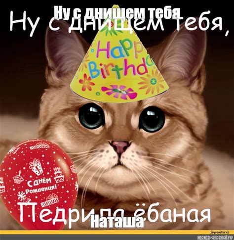 Создать мем "котики, кот педрила, пидрила ебаная" - Картинки - Meme ...