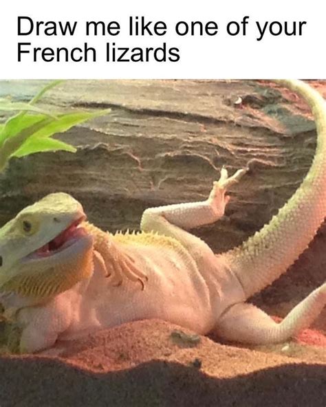 funny ahhh memes ideas memes funny funny pictures