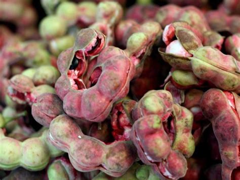 health  beauty benefits  manila tamarind camachile dr farrah md