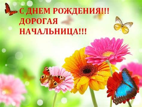 Прикольные открытки Начальнице с Днем рождения