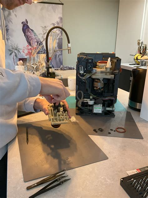 DeLonghi Cappuccino Zetgroep & Thermoblock revisie