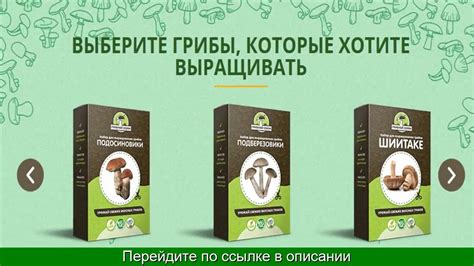Семена Грибов Для Выращивания - YouTube