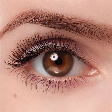 lash extensions safe