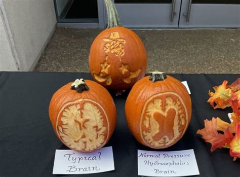 Winners of 2022 pumpkin-carving contests announced | VUMC Voice