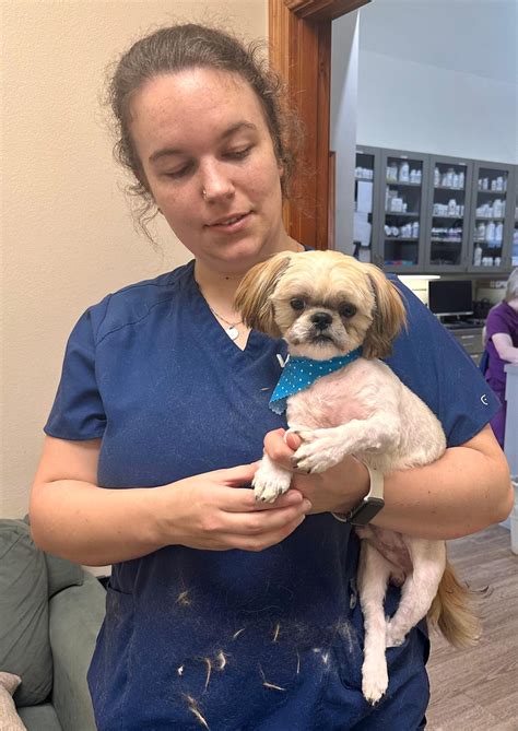 VCA All Pets Animal Hospital | Baton Rouge LA
