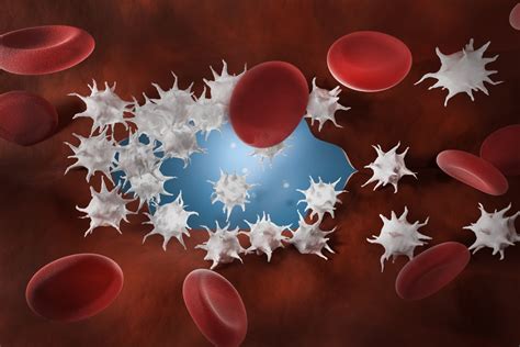 platelet count pathology tests explained