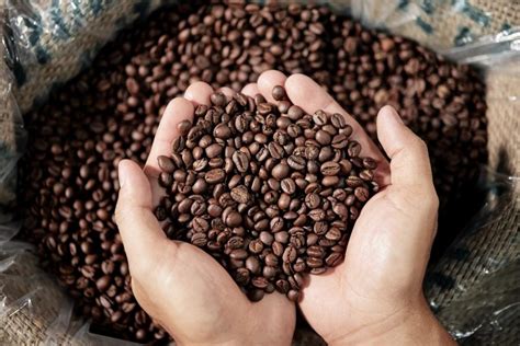 How to Recognize & Find Good Quality Coffee Beans - Brew That Coffee