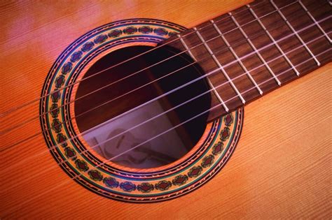 Components of Stringed Instruments and How They Work - Guitar Tuners