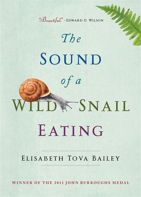 The Sound Of A Wild Snail Eating