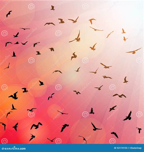 Seagulls Black Silhouette On Isolated White Background. Vector