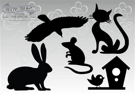 Animal design, Shadow theatre, Illustration