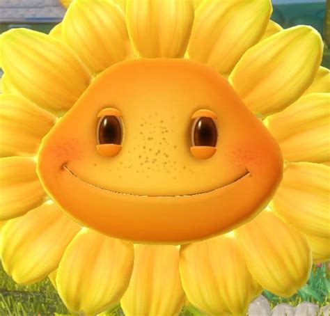 Создать мем "plants vs zombies растения sunflower, подсолнух pvz ...