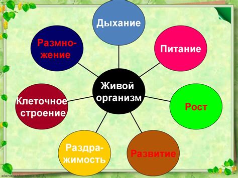 Рост и развитие живых организмов - презентация онлайн