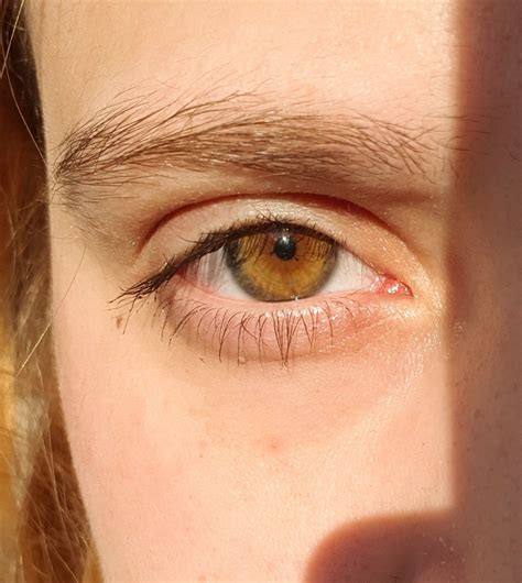 Amber/Hazel eye | Aesthetic eyes, Hazel eyes, Beautiful eyes color