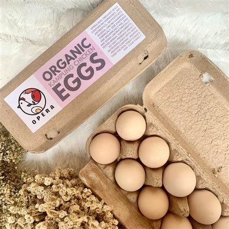 jual telur ayam kampung organik kampung omega jakarta timur