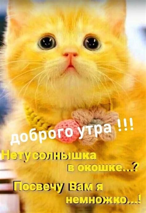 Пин от пользователя Ольга на доске пожелания доброго утра. | Цитаты о ...