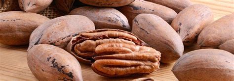 Орех пекан: польза и вред, вкус и отличие от грецких орехов