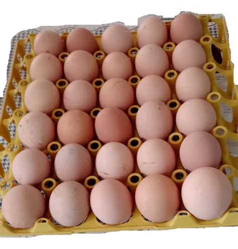 Ovos De Galinha Balão | Parcelamento sem juros