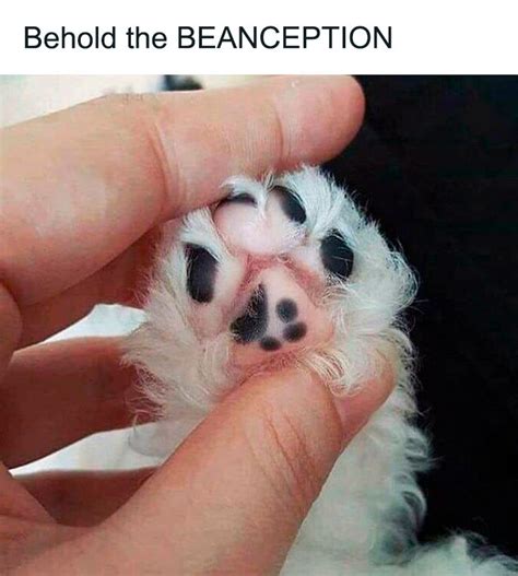 50 Hilarious Memes That Show The Exact And Accurate Picture Of What It ...