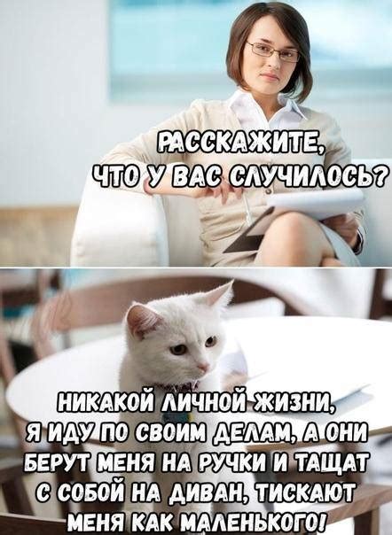 Подборка смешных картинок с надписями с просторов интернета