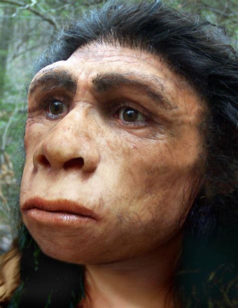 human humans evolution prehistoric face neanderthal art