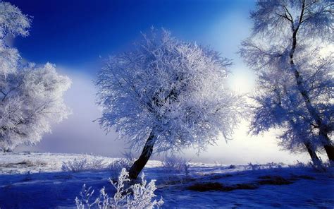 Beautiful Snow Wallpapers - Top Free Beautiful Snow Backgrounds - WallpaperAccess