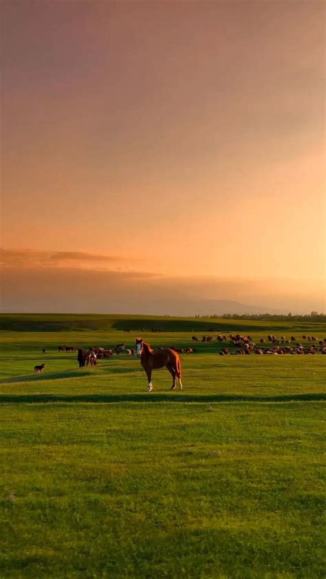 Amazing view of wild nature Qazaqstan | Nature photography, Landscape ...