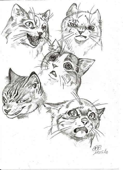 Dessin Chats