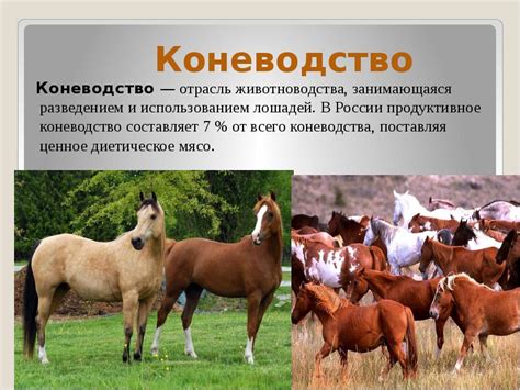Технологии животноводства