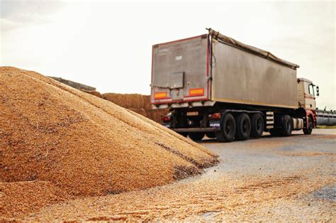 Muito Usado No Transporte De Carga - Quais são os tipos de transporte de cargas? | GF Transportes