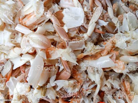 Crab Shells Crab Shell Waste Pile Of Crab Shell Texture Background ...