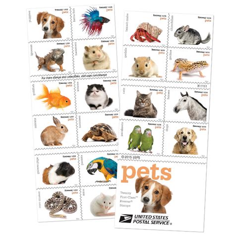 Celebrating America’s Favorite Pets