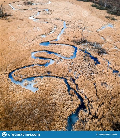 Flying Above Blue River and Brown Swamps Stock Image - Image of