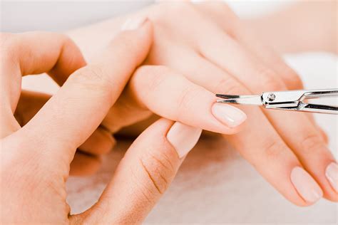 Как правильно выбрать ножницы для кутикулы: особенности, виды, рейтинг ...