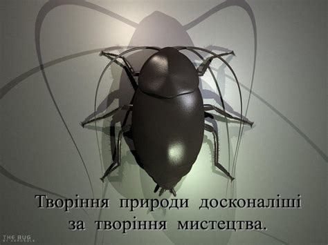 Презентація "Тип Членистоногі"