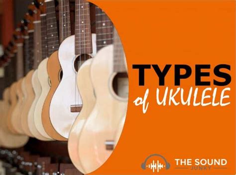 types  ukuleles