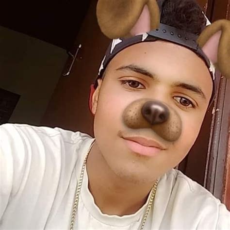 244 grau e corte