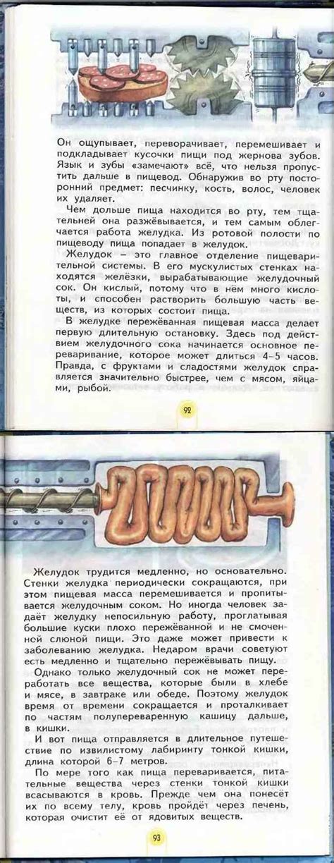 Читать онлайн учебник по окружающему миру за 4 класс Дмитриева Казаков ...